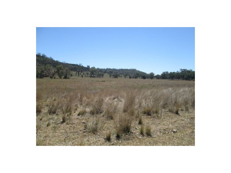 “Redam”, Warialda NSW 2402