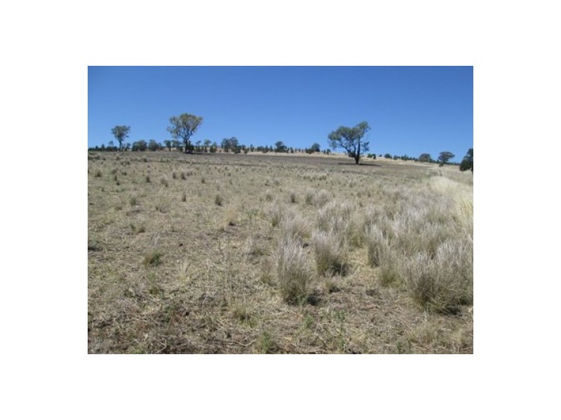 “Redam”, Warialda NSW 2402