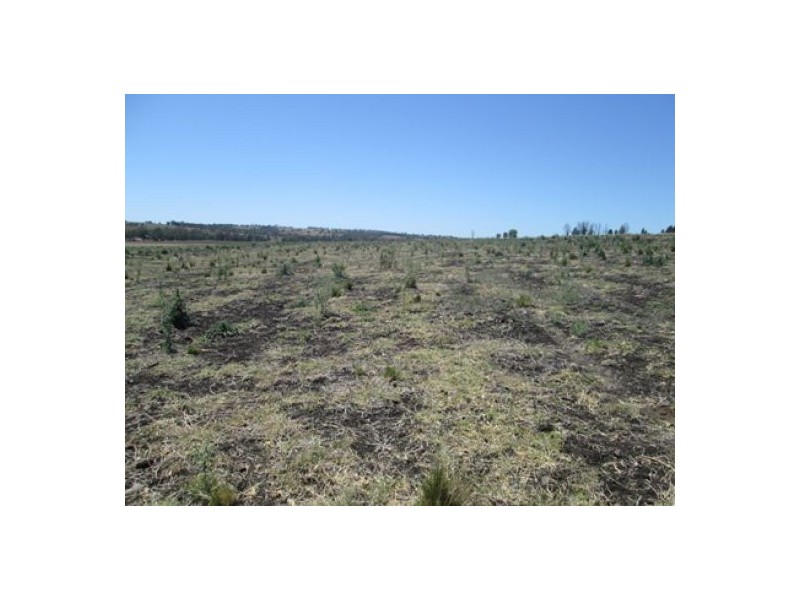 “Redam”, Warialda NSW 2402