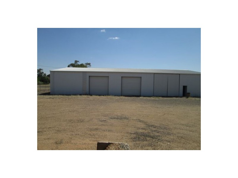 Medgun Street, Ashley NSW 2400