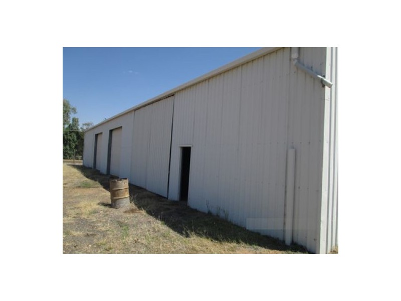 Medgun Street, Ashley NSW 2400