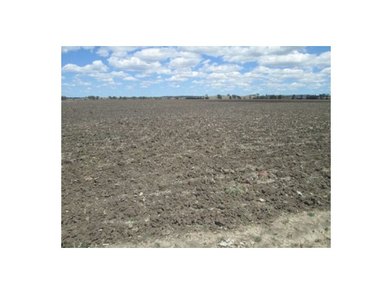 “Mytara”, Gravesend NSW 2401