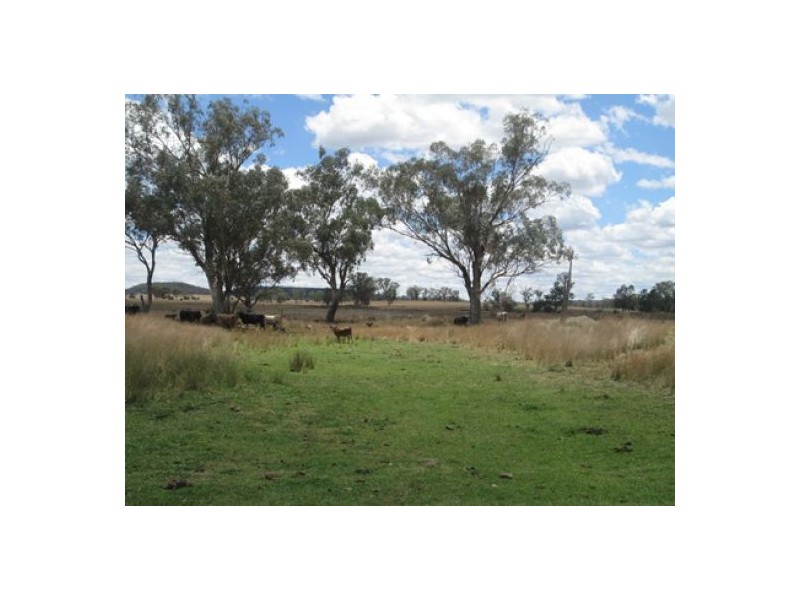 “Mytara”, Gravesend NSW 2401