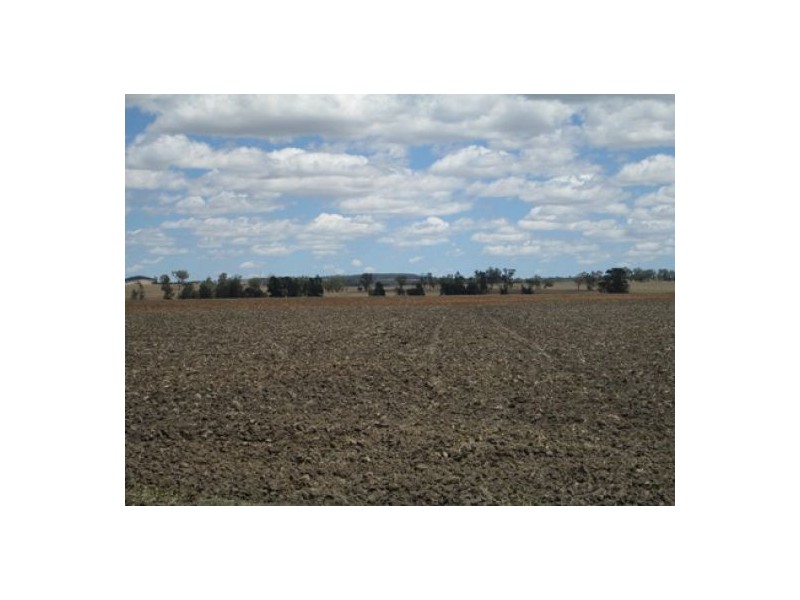 “Mytara”, Gravesend NSW 2401