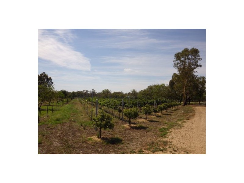 “KINNEIL” BENDYGLEET ROAD, Moree NSW 2400