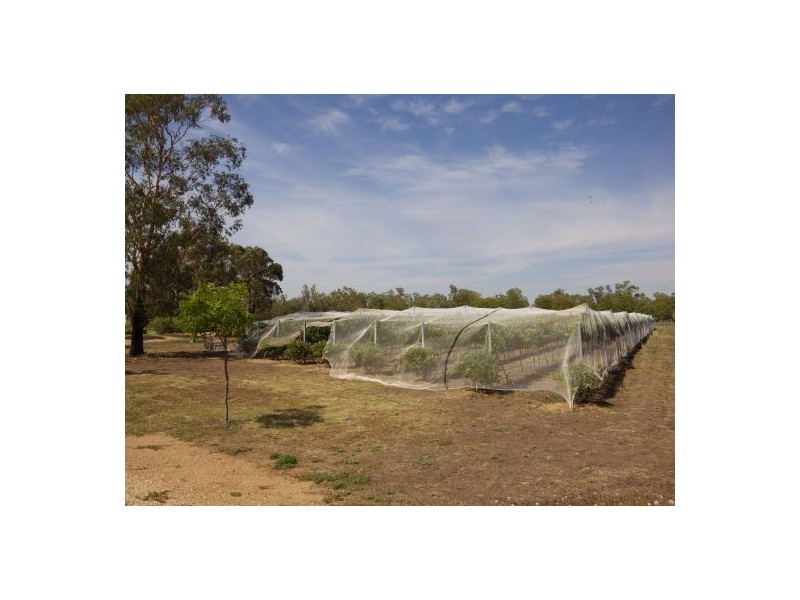 “KINNEIL” BENDYGLEET ROAD, Moree NSW 2400