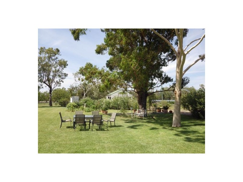“KINNEIL” BENDYGLEET ROAD, Moree NSW 2400