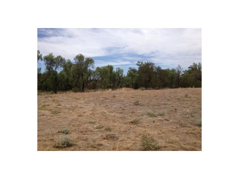 Lot 195 Courallie Street, Moree NSW 2400