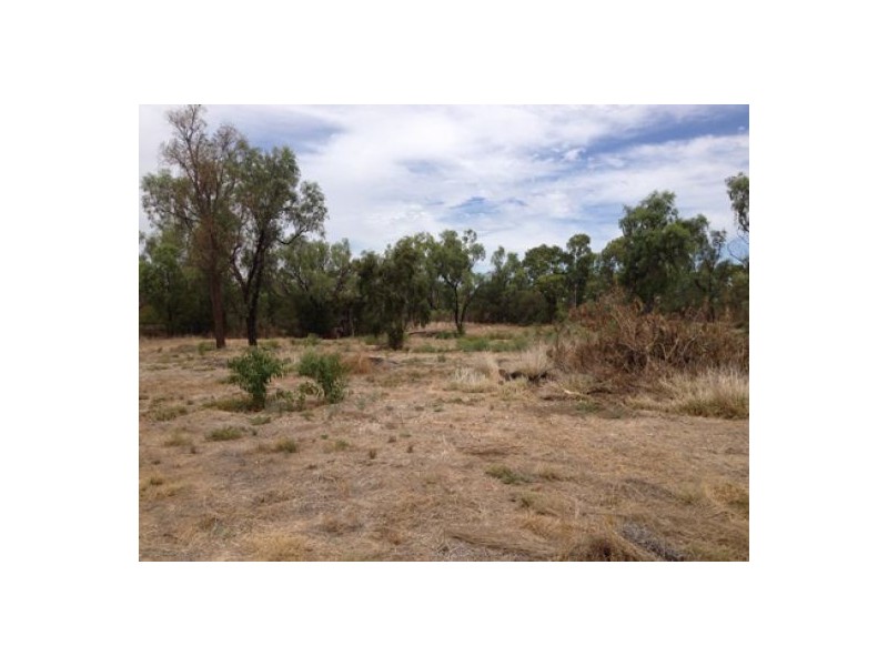 Lot 195 Courallie Street, Moree NSW 2400