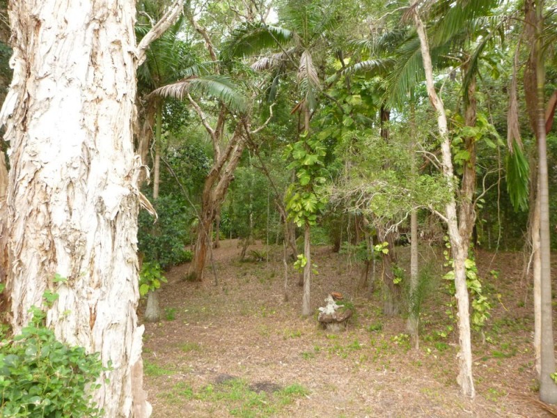 24 Sovereign Street, Iluka NSW 2466