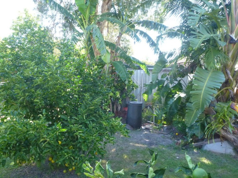 49 Riverview Street, Iluka NSW 2466