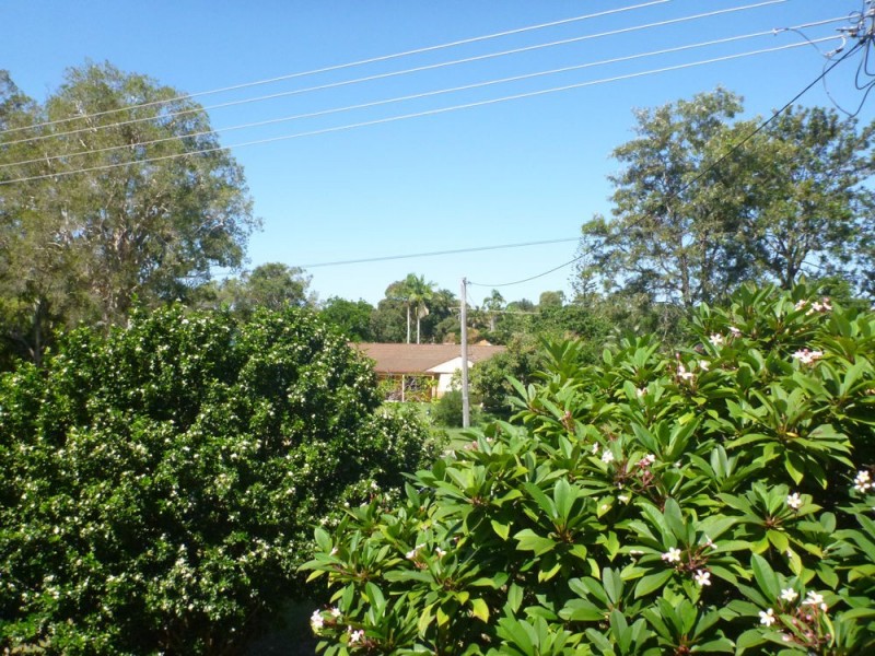 49 Riverview Street, Iluka NSW 2466