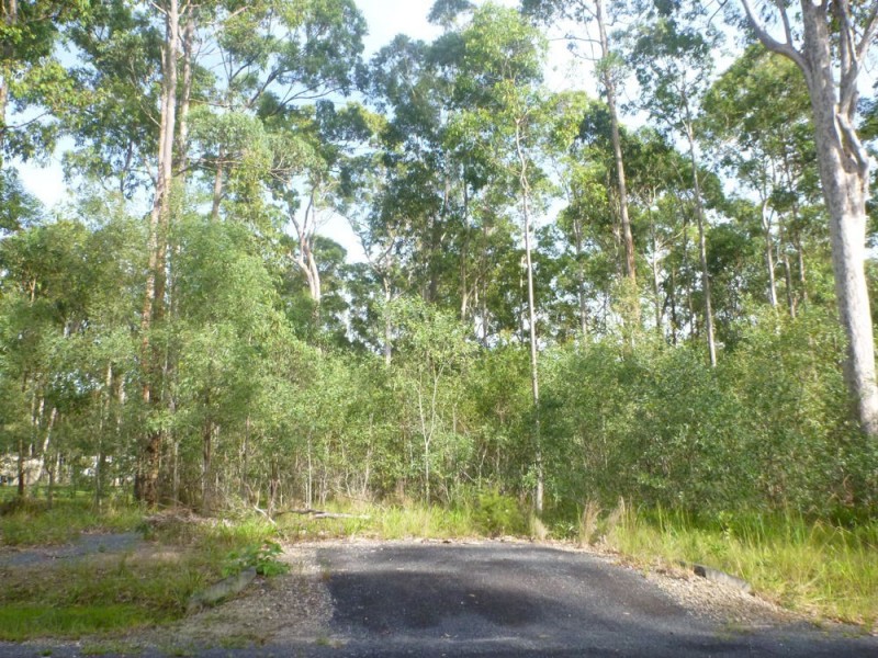 31 Gecko Drive, Woombah NSW 2469