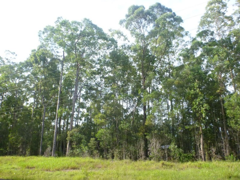 31 Gecko Drive, Woombah NSW 2469