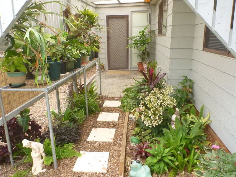 14 Angourie Street, Iluka NSW 2466