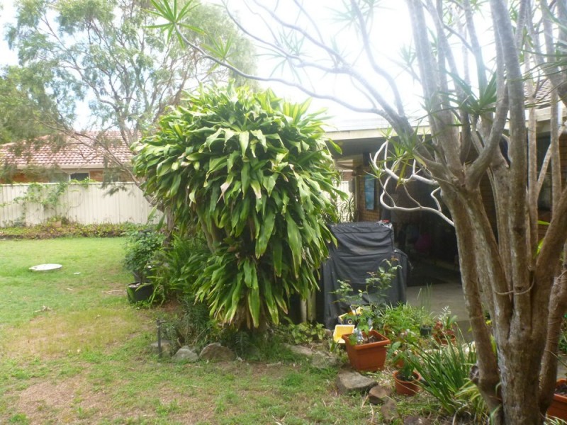 29 Ballanda Cresent, Iluka NSW 2466