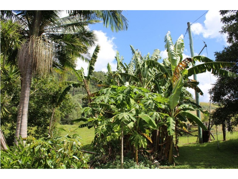 183 Mororo Road, Woombah NSW 2469