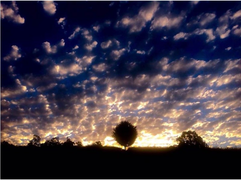 183 Mororo Road, Woombah NSW 2469