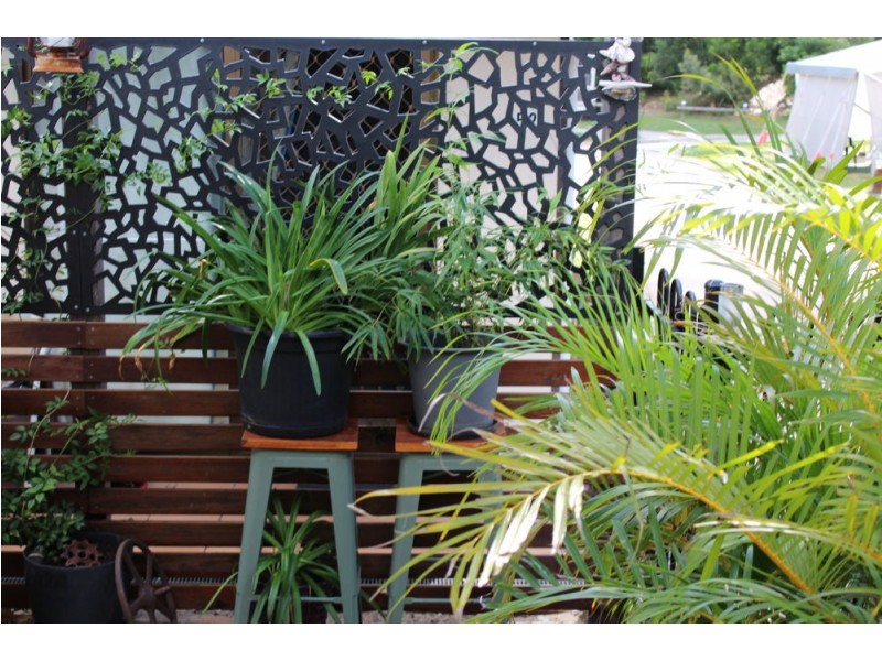 51/113 Charles Street, Iluka NSW 2466