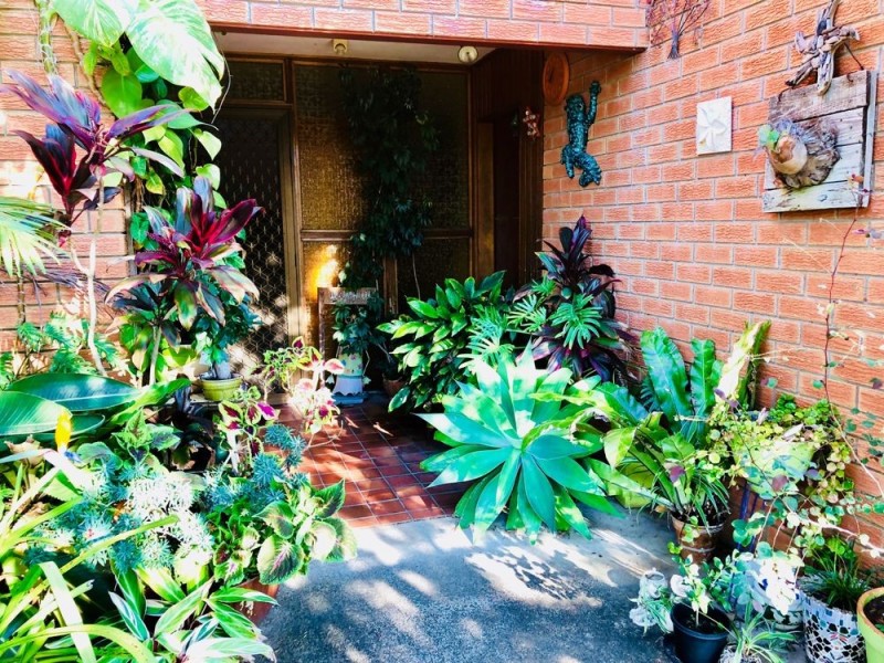 18 Hammond Street, Iluka NSW 2466