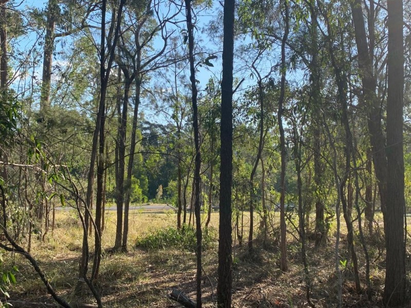 Lot 15 Tallowood Court, Woombah NSW 2469