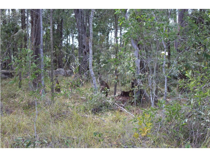 Lot 15 Tallowood Court, Woombah NSW 2469