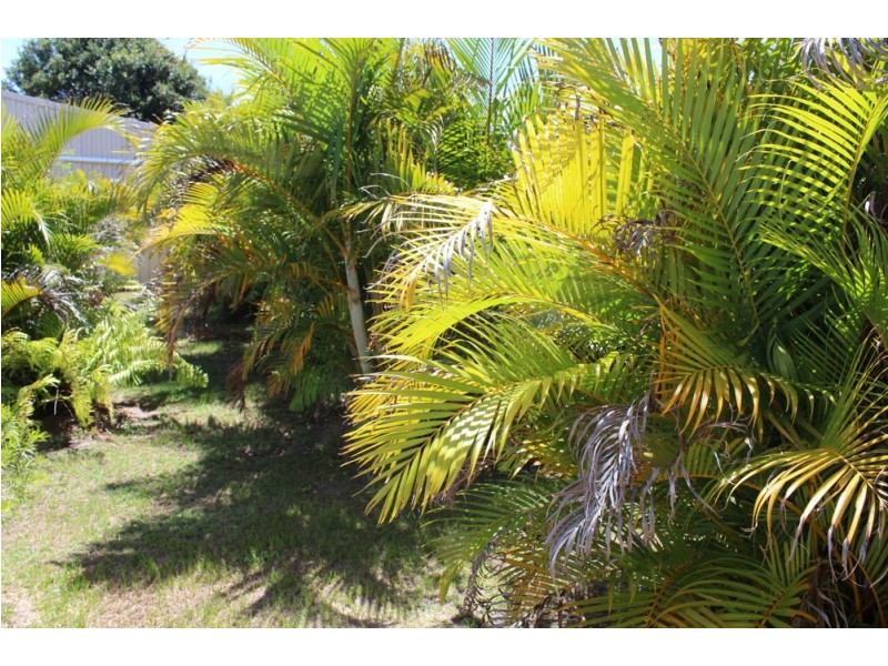 22 Micalo Street, Iluka NSW 2466