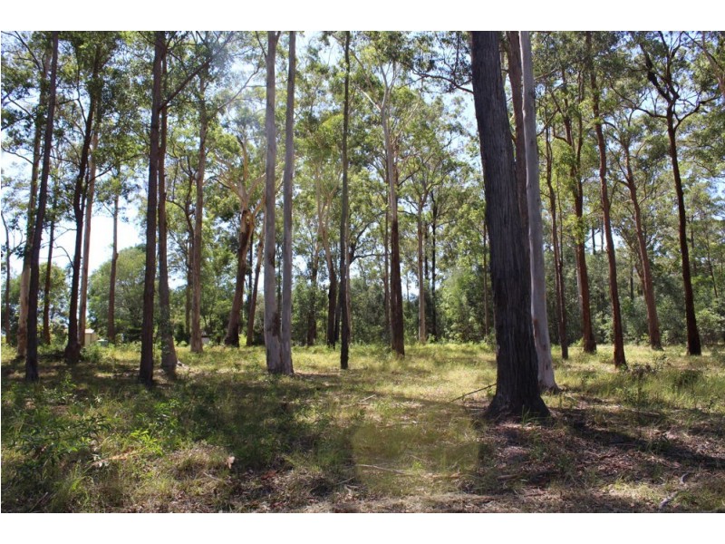 17 Fat Duck, Woombah NSW 2469