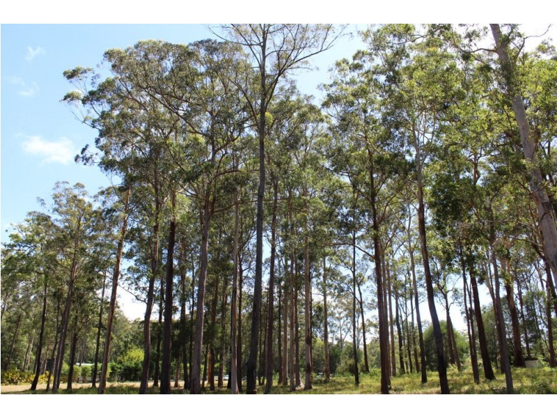 17 Fat Duck, Woombah NSW 2469