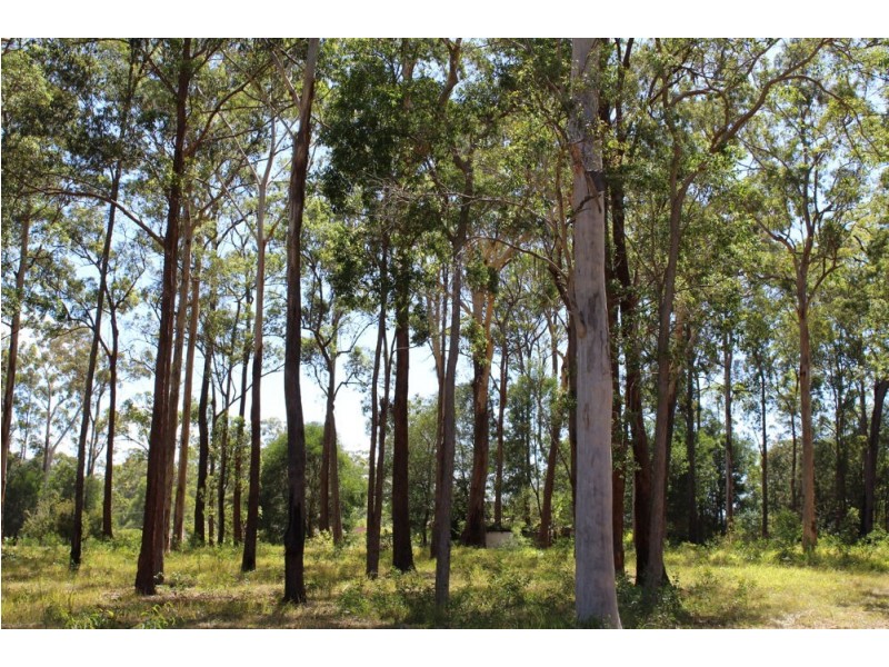 17 Fat Duck, Woombah NSW 2469