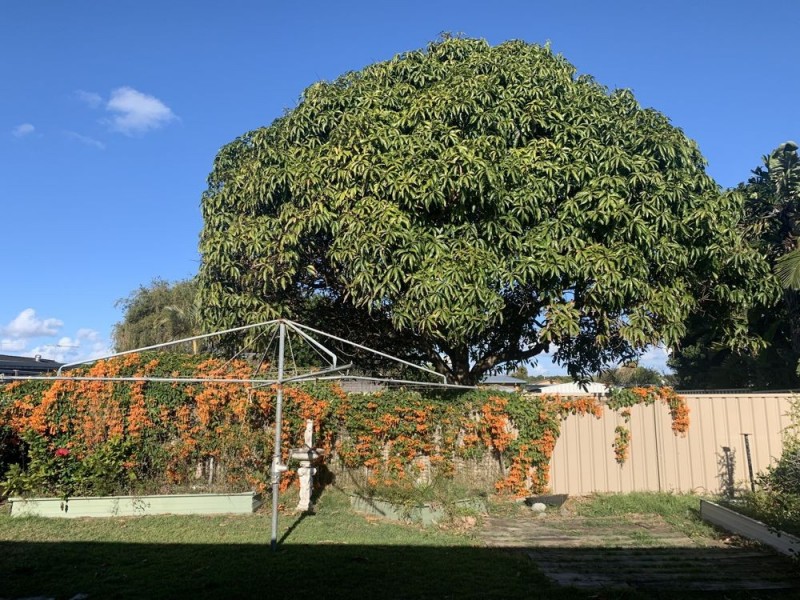 2 Hammond Street, Iluka NSW 2466