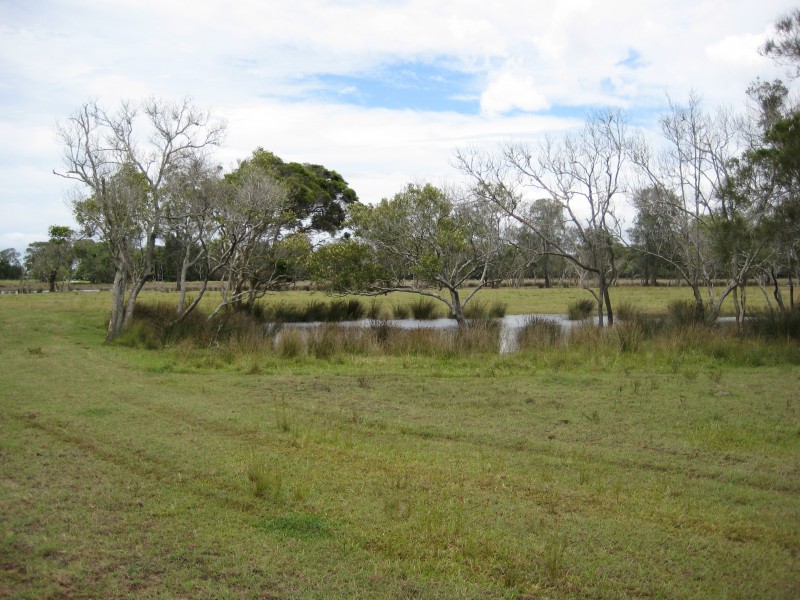 Palmers Island NSW 2463