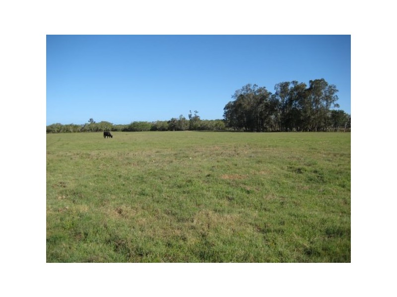 Palmers Island NSW 2463