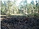 Woombah NSW 2469