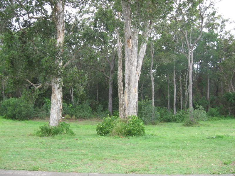 Iluka NSW 2466