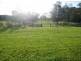 Woombah NSW 2469