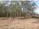 Lot 8 Tree Frog Grove, Woombah NSW 2469