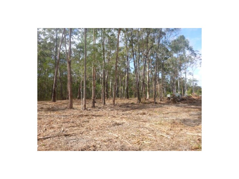 Lot 8 Tree Frog Grove, Woombah NSW 2469