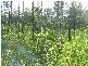 Woombah NSW 2469