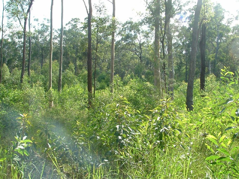 Woombah NSW 2469