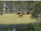 Palmers Island NSW 2463