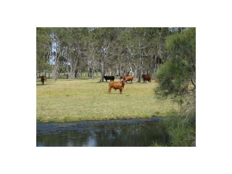 Palmers Island NSW 2463