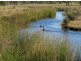 Palmers Island NSW 2463