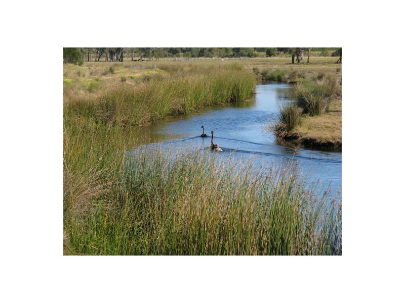 Palmers Island NSW 2463