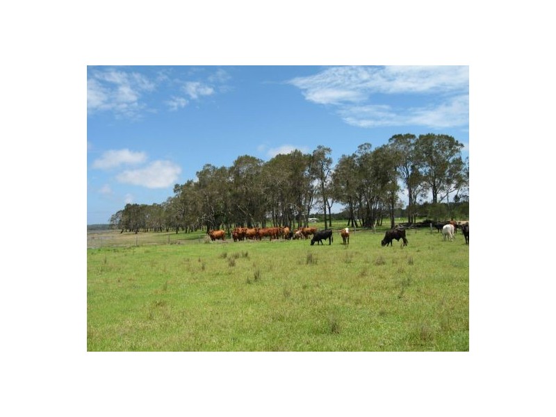 Palmers Island NSW 2463