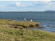Palmers Island NSW 2463
