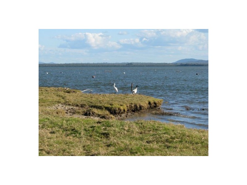 Palmers Island NSW 2463