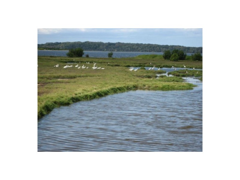 Palmers Island NSW 2463
