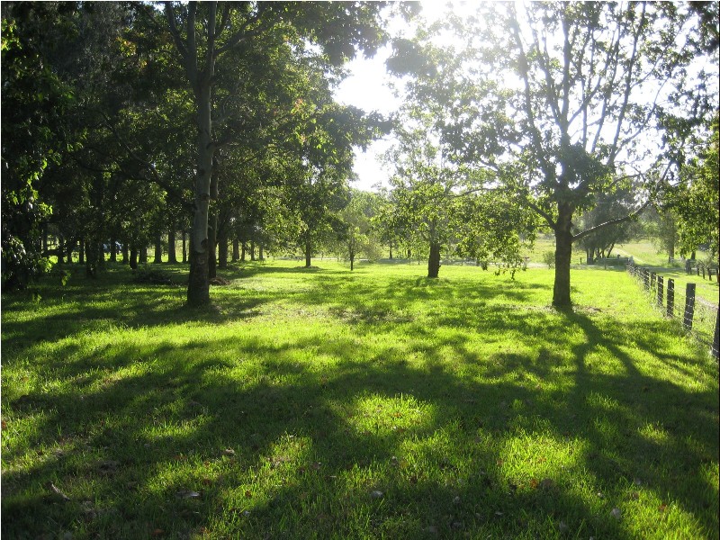 Woombah NSW 2469