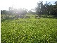 Woombah NSW 2469